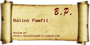Bálint Pamfil névjegykártya